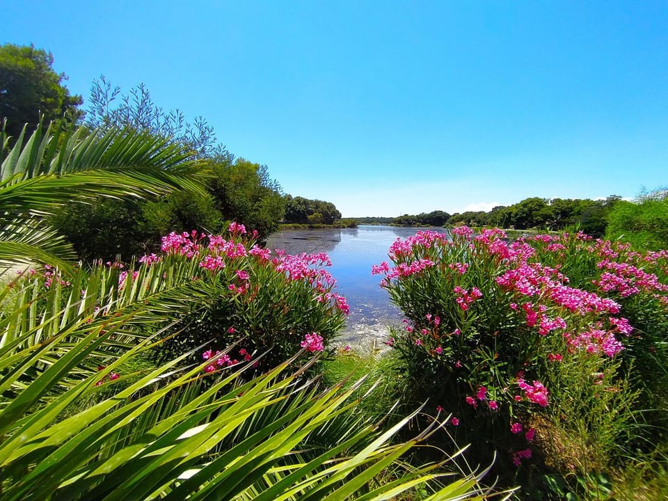 Day, Natural landscape