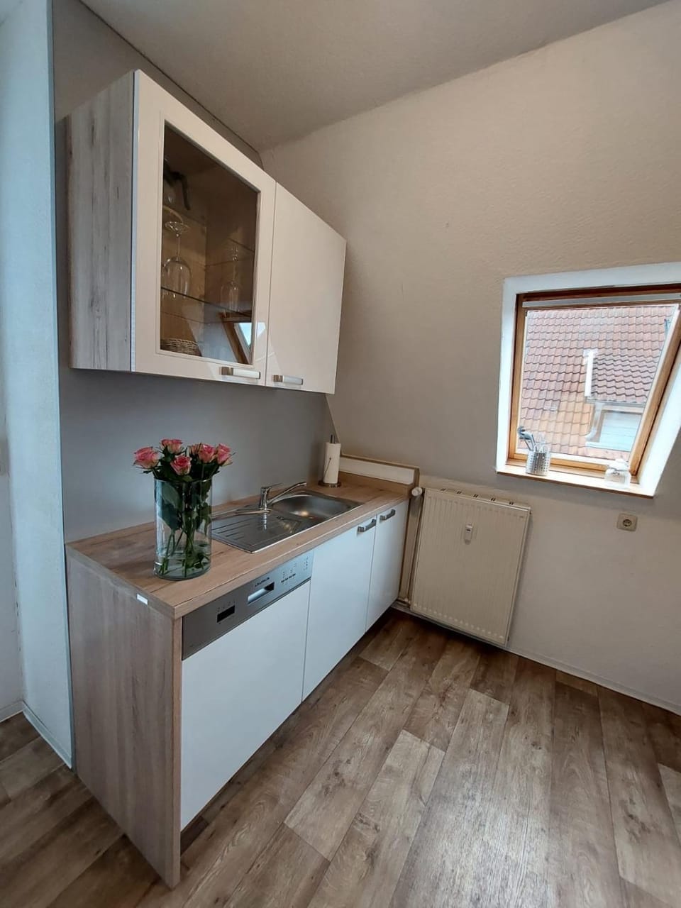 Kitchen or kitchenette, dishwasher