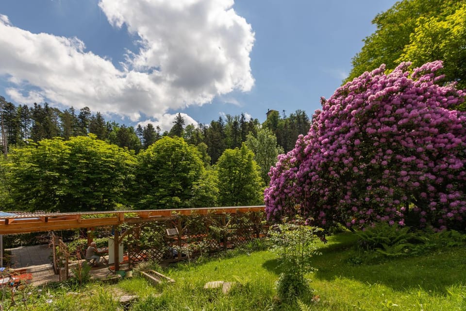Garden, Garden view