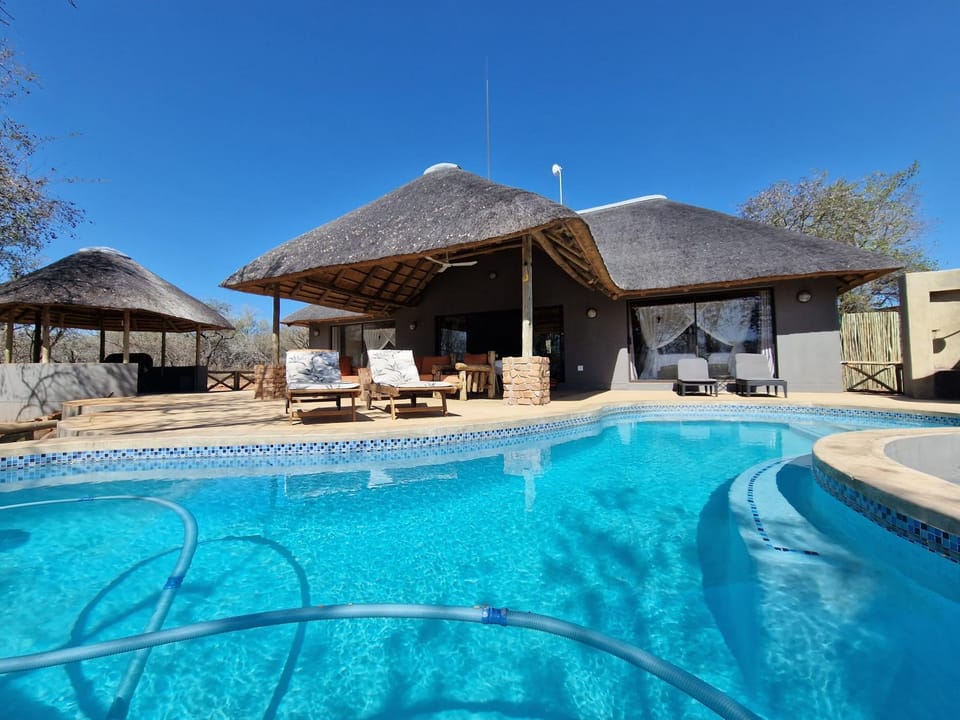 Balcony/Terrace, Swimming pool, Swimming pool, Entertainment, sunbed, sunbed
