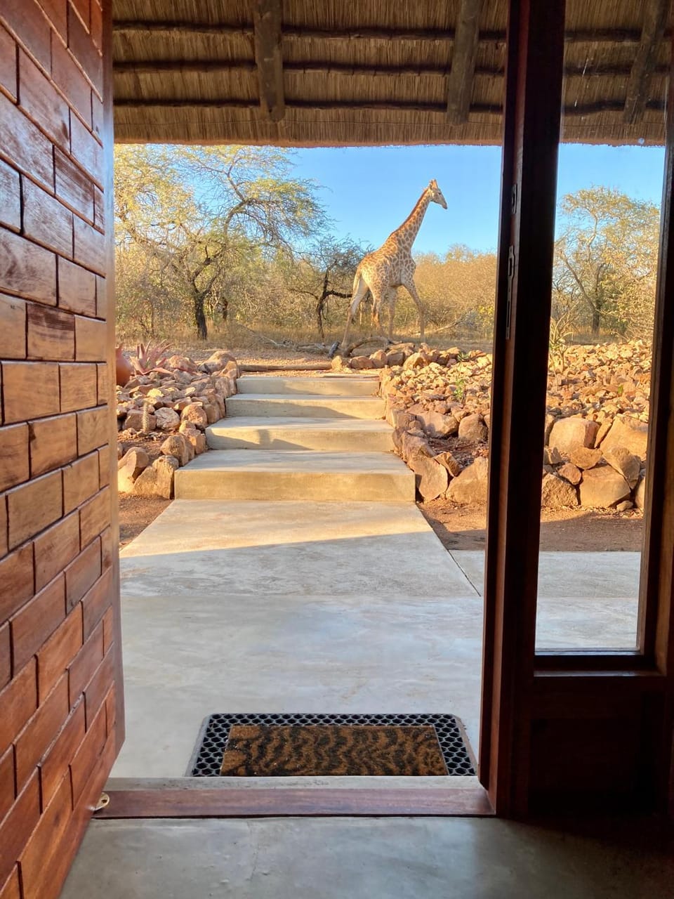 Facade/entrance, Animals, Animals