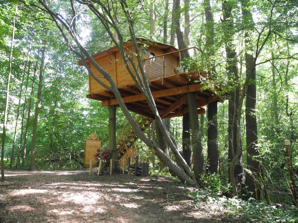 Treehouse v Brdech Chalet in Czechia