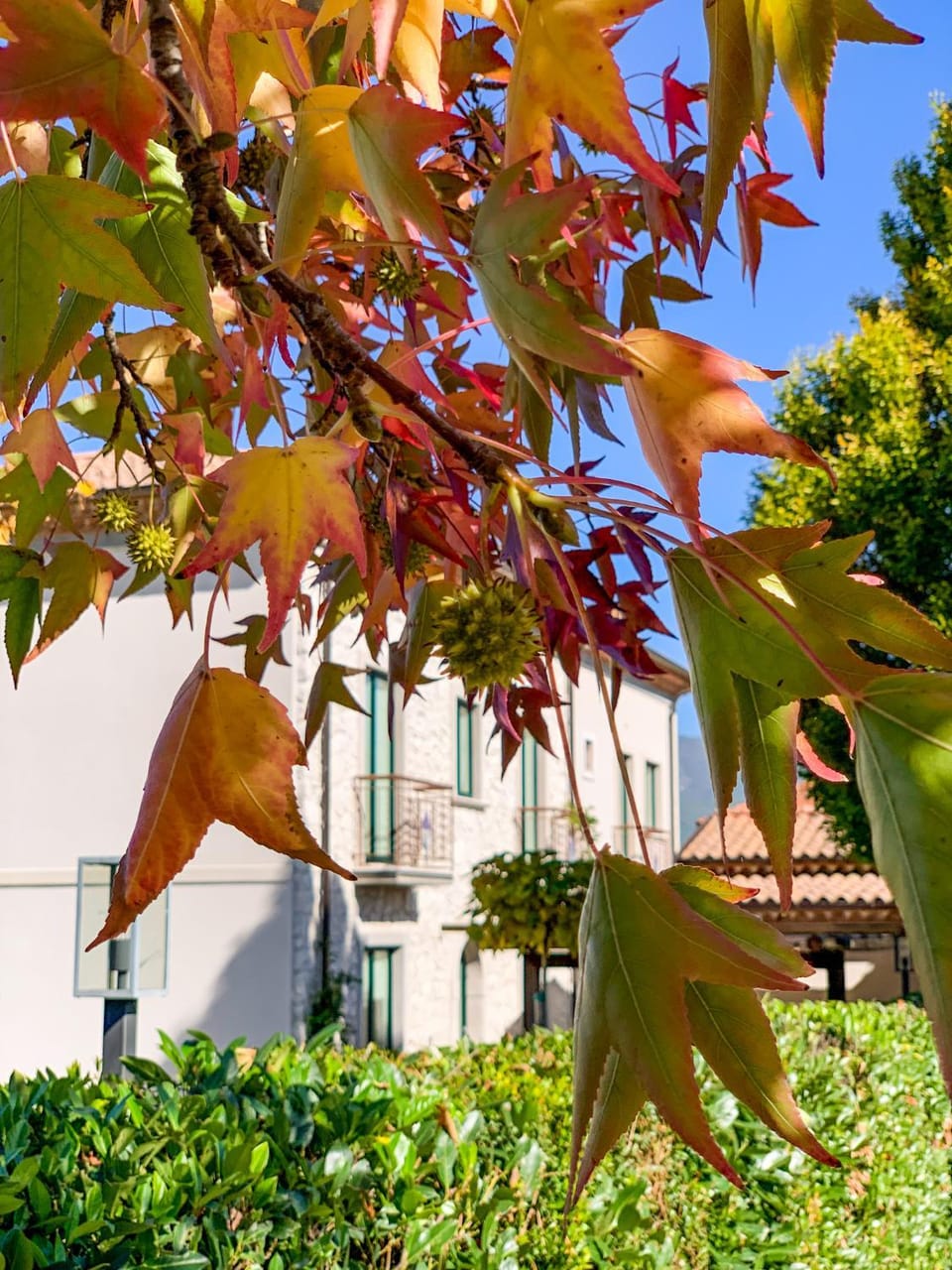 Property building, Spring, Garden, Garden view