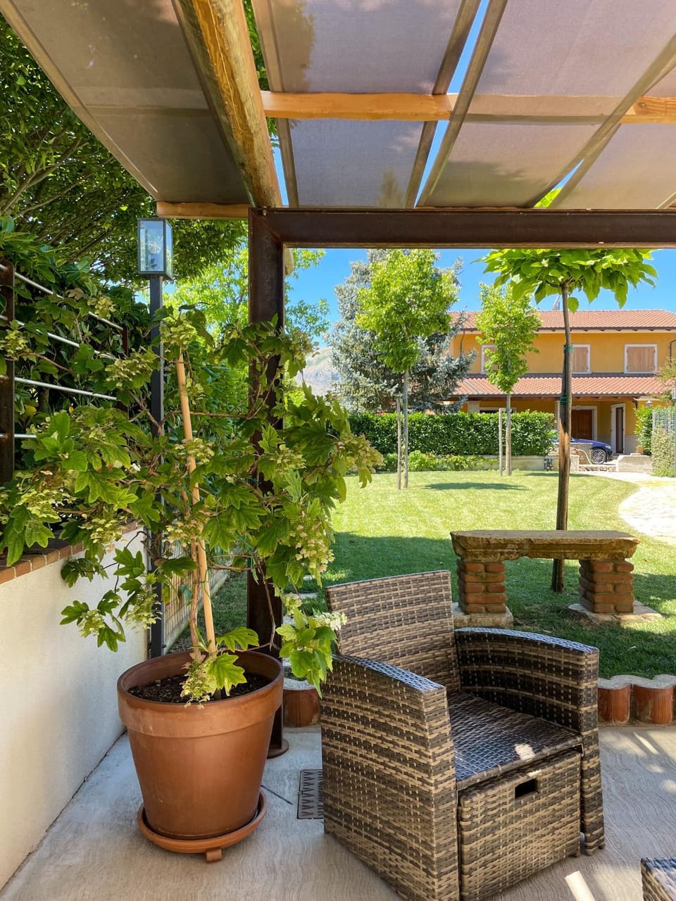 Patio, Garden, Garden view
