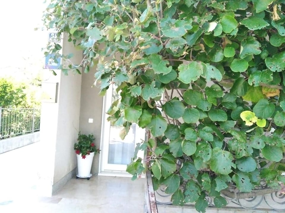 APARTMAN NEŠPULA 2 Apartment in Šibenik-Knin County, Croatia