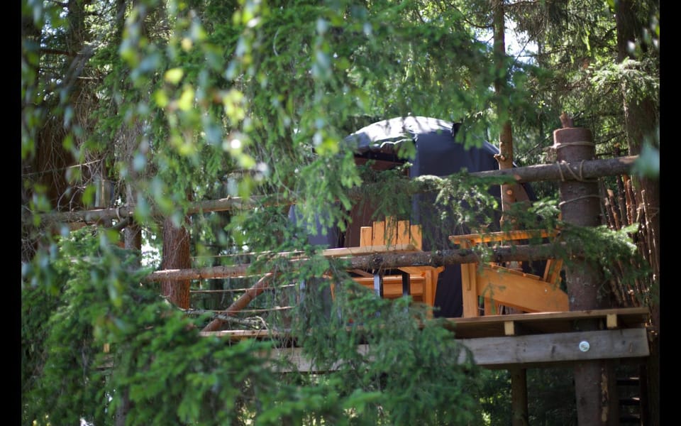 Palapinė medyje Luxury tent in Klaipėda County, Lithuania