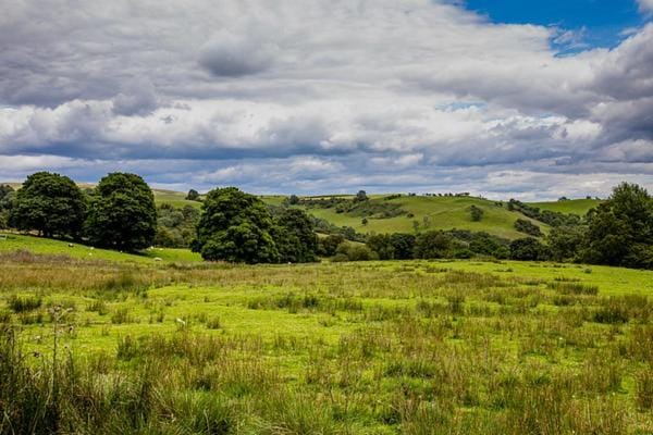 Natural landscape, View (from property/room)