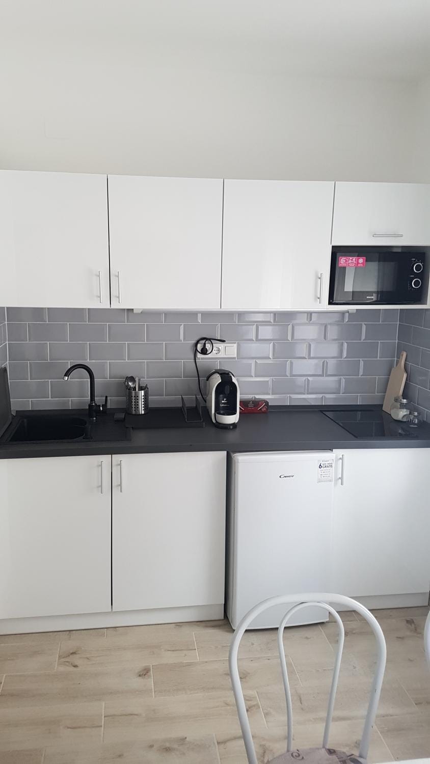 Coffee/tea facilities, Kitchen or kitchenette, minibar, stove, toaster
