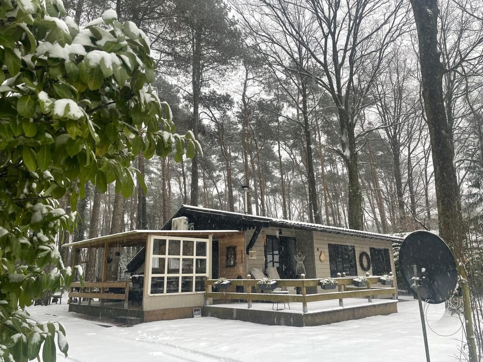 Property building, Day, Natural landscape, Winter
