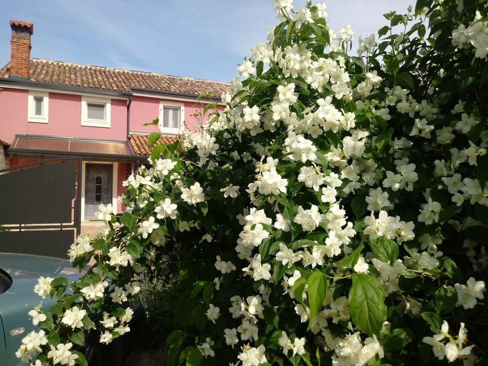 Vila Arsini - sa 3 sobe za do 6 osoba, Poreč - Dračevac House in Istria County