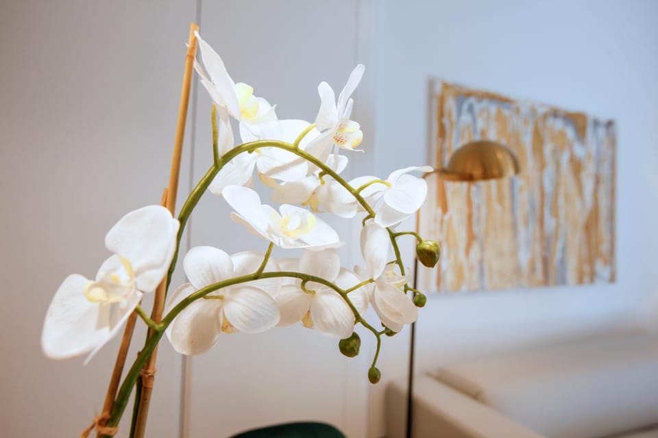 Tirso Suite Apartment in Centro