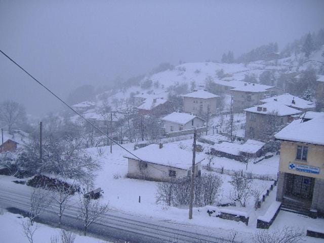 Natural landscape, Winter