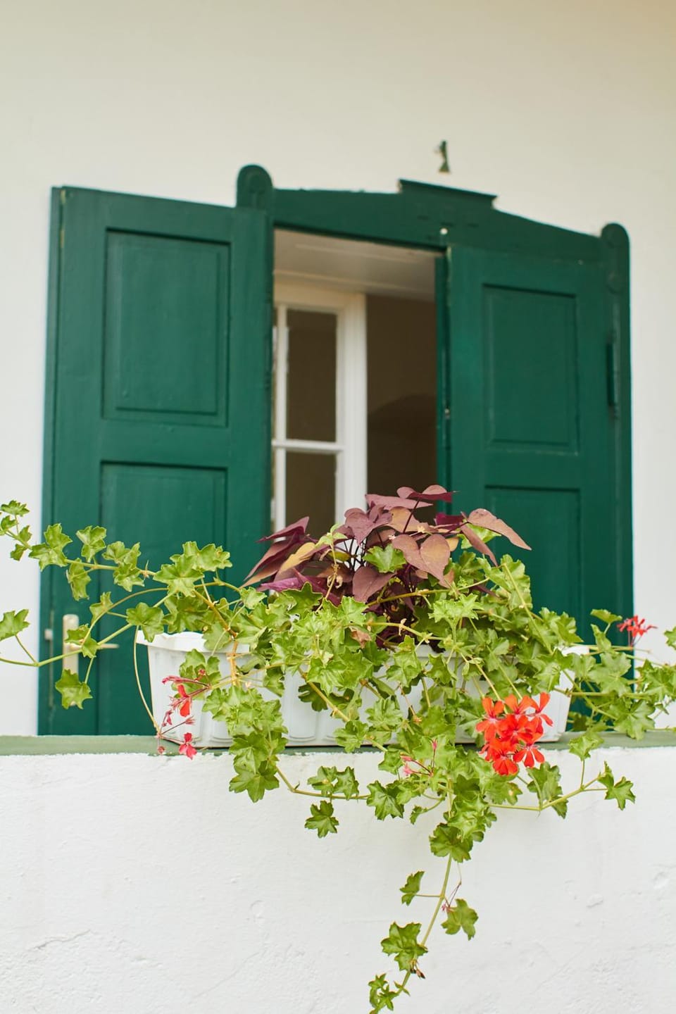 Vadrózsa Vendégház Rácalmás Country House in Hungary