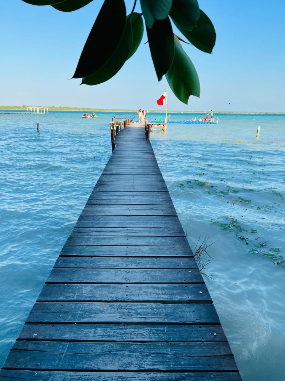 Natural landscape
