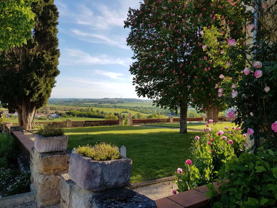 Natural landscape, Garden, View (from property/room), Garden view