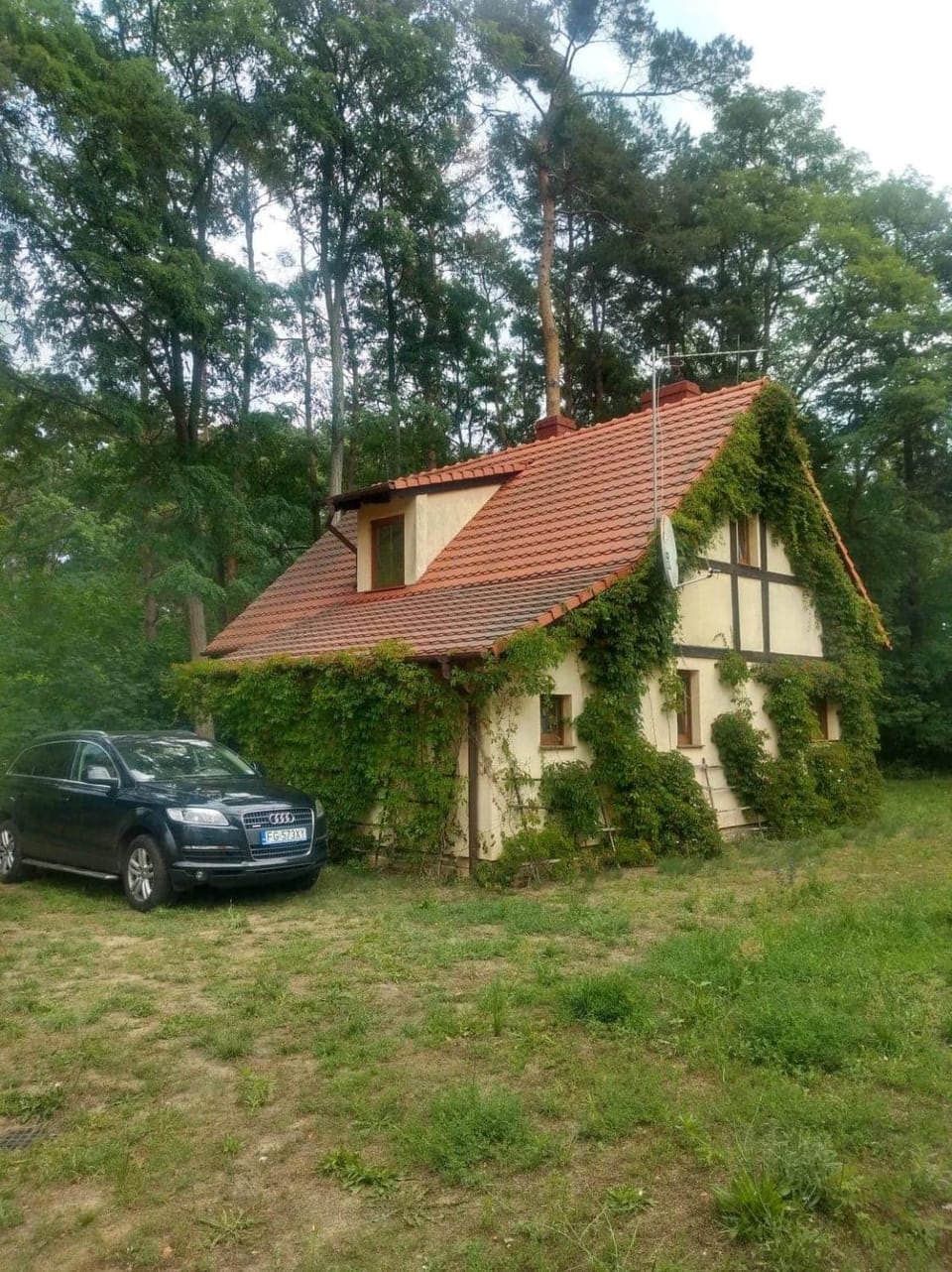Property building, Natural landscape, Garden