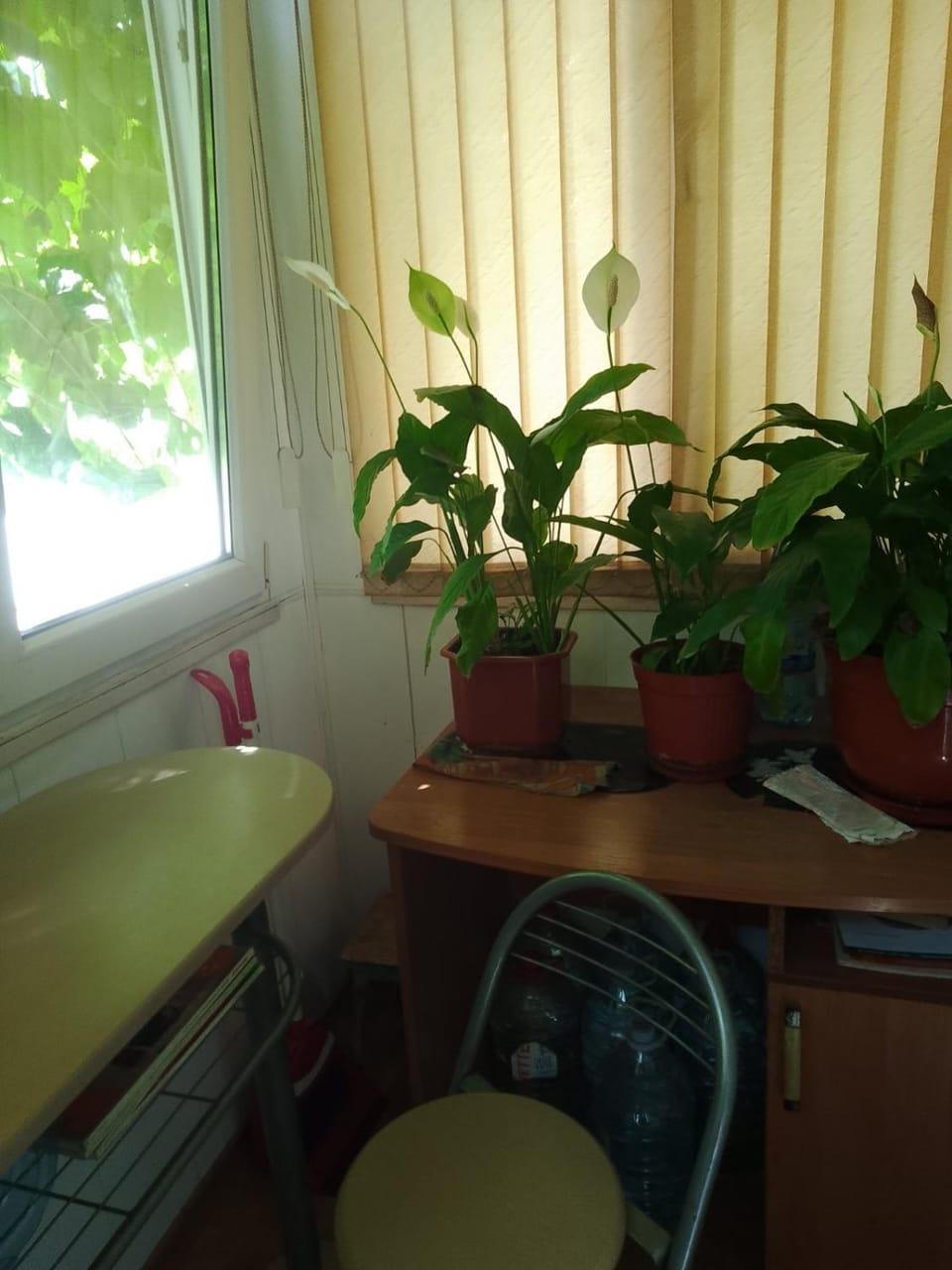 Квартира в центре. Bed and Breakfast in Odessa