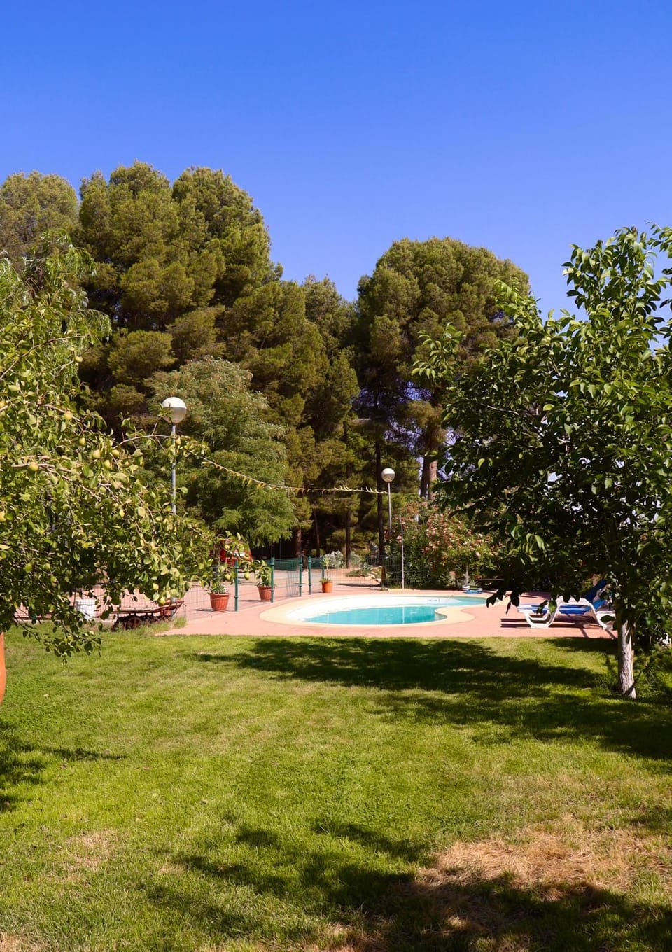Garden view