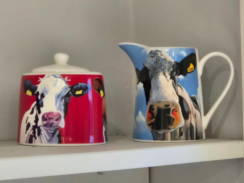 Brae View Coastal Gem House in England