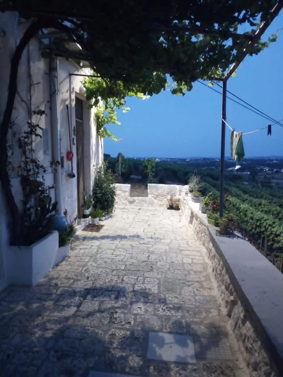 Belvedere House in Locorotondo