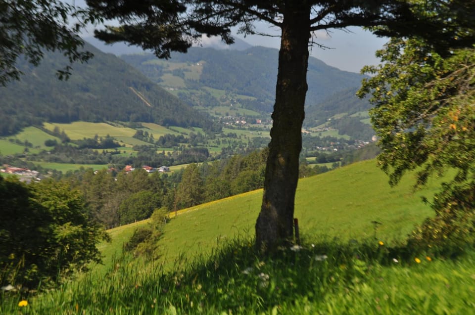 Fruhstuckspension Bischof i d Wiesen Bed and Breakfast in Styria