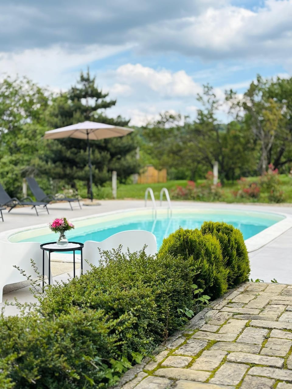 Fruska Pool House House in Novi Sad