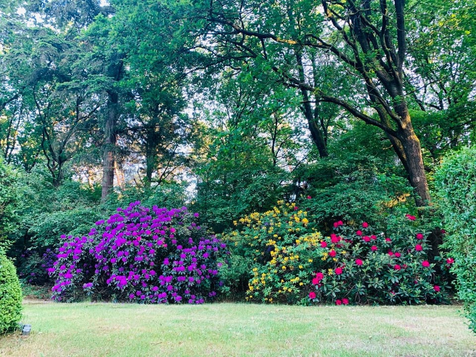Garden, Garden view