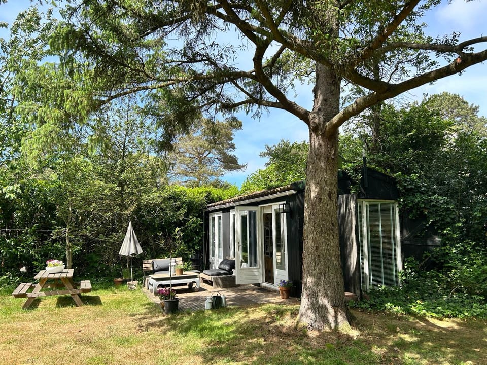 Property building, Day, Garden, Garden view