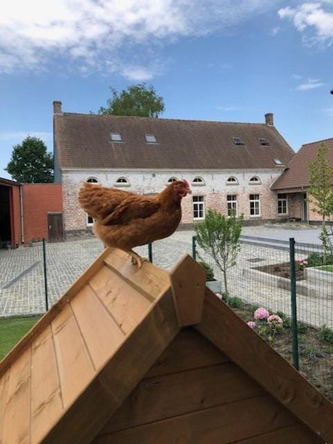 Hof Ten Beemd House in Flanders