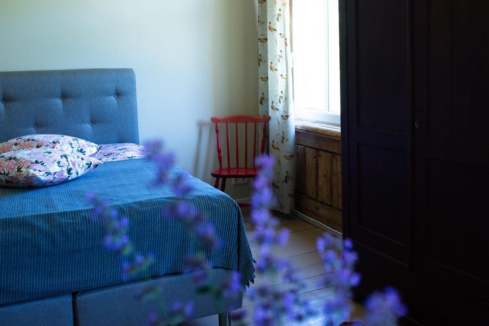Livi Avat Apartment in Estonia