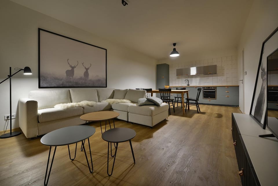 Kitchen or kitchenette, Living room, Seating area, Dining area