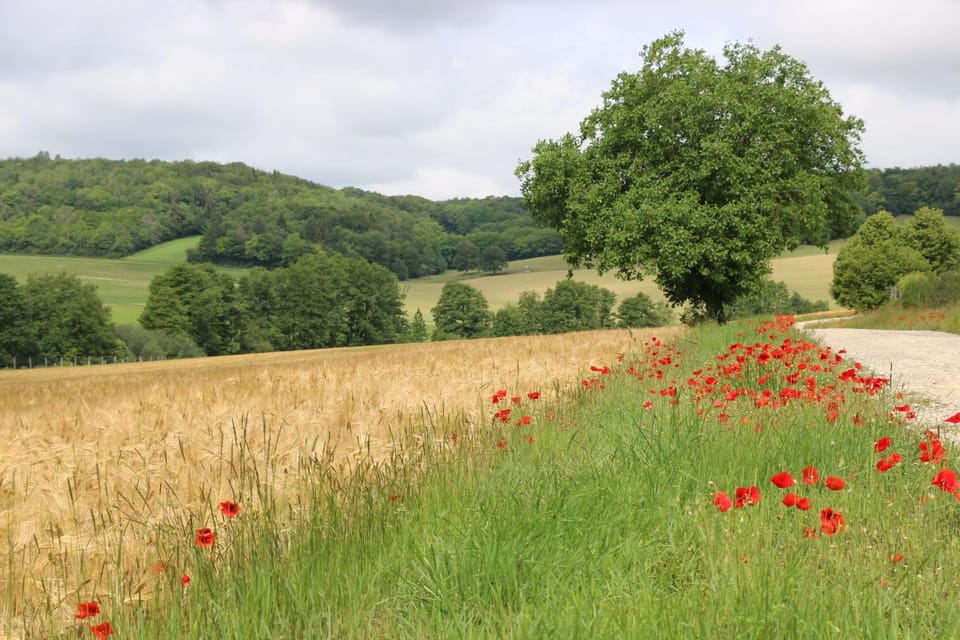 Natural landscape