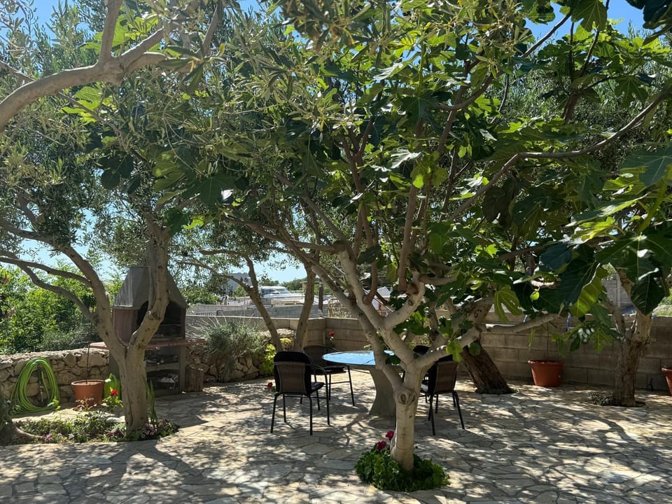 Studio apartmani Alex Doll Apartment in Novalja