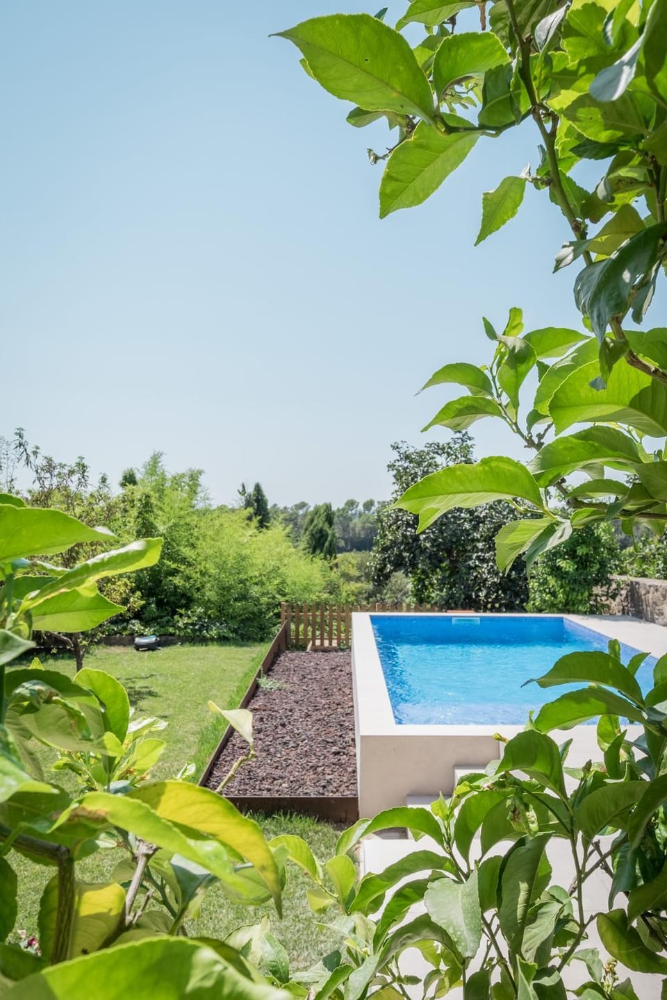 Day, Garden, Garden view, Pool view, Swimming pool, sunbed