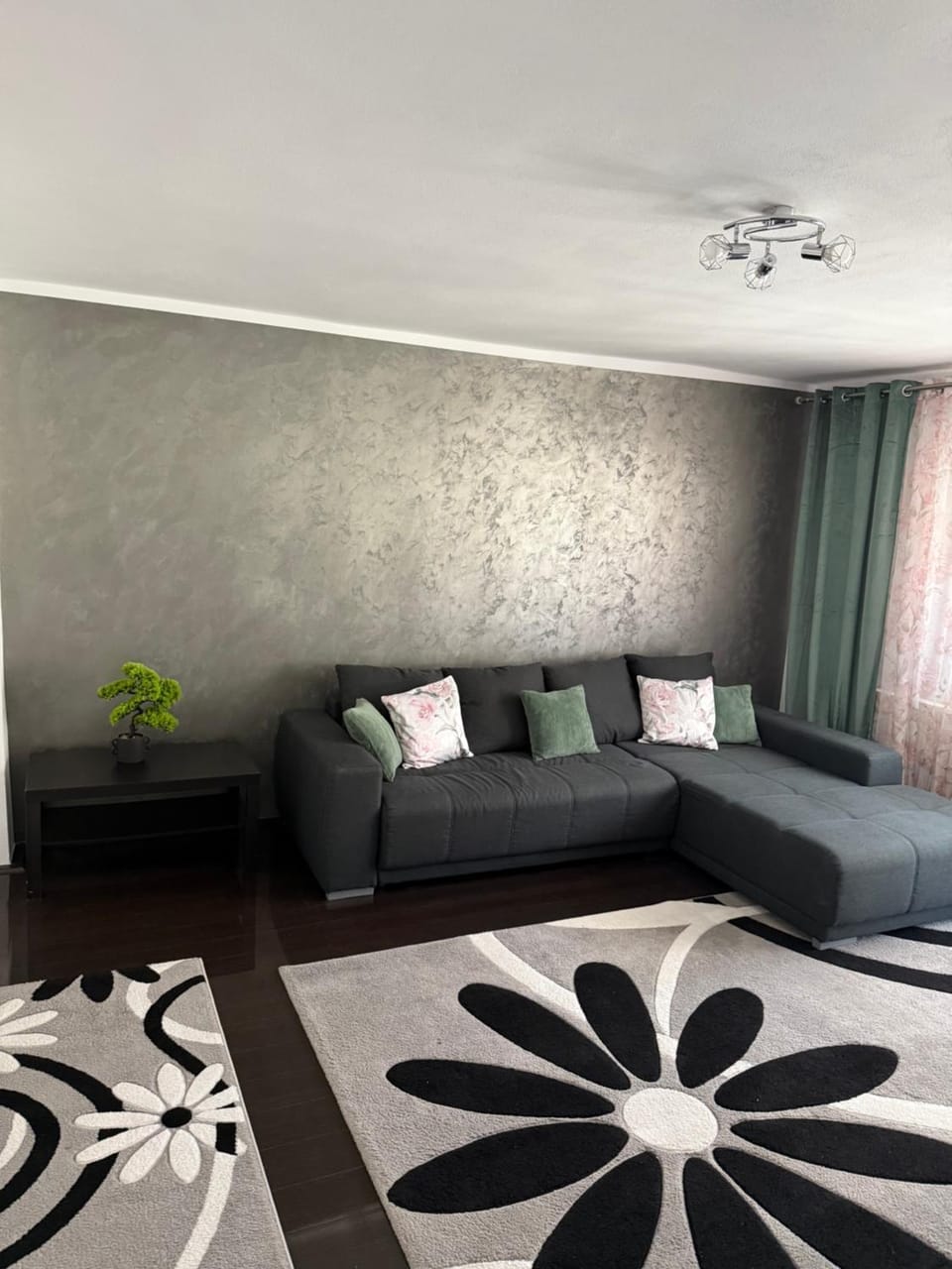 Living room, Photo of the whole room, Seating area