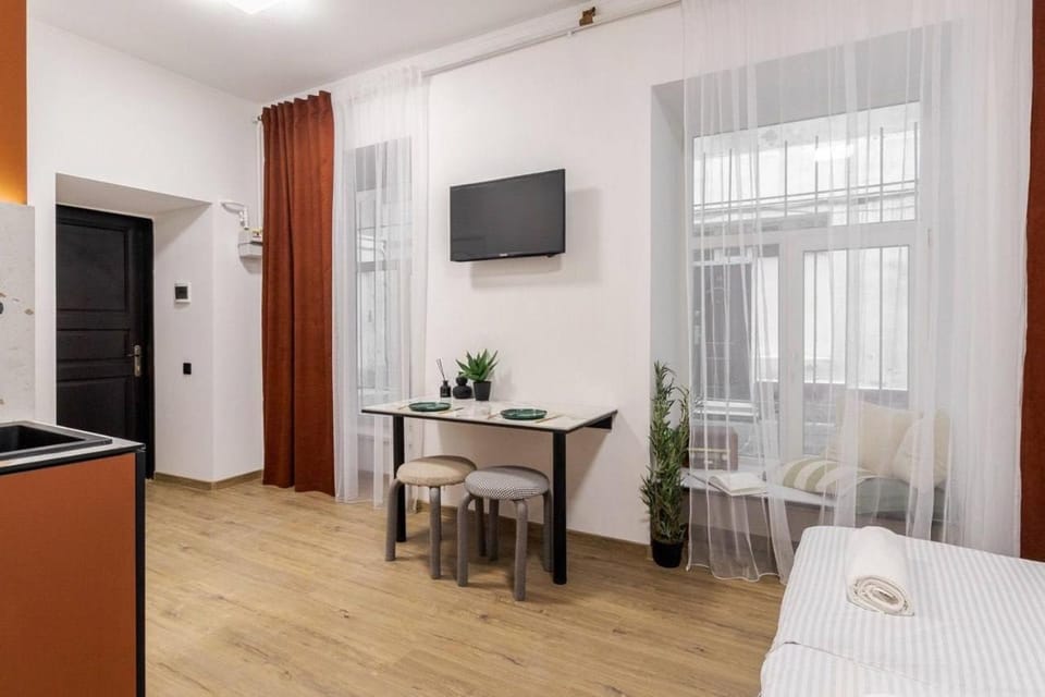 Art studio near Opera theatre Apartment in Lviv