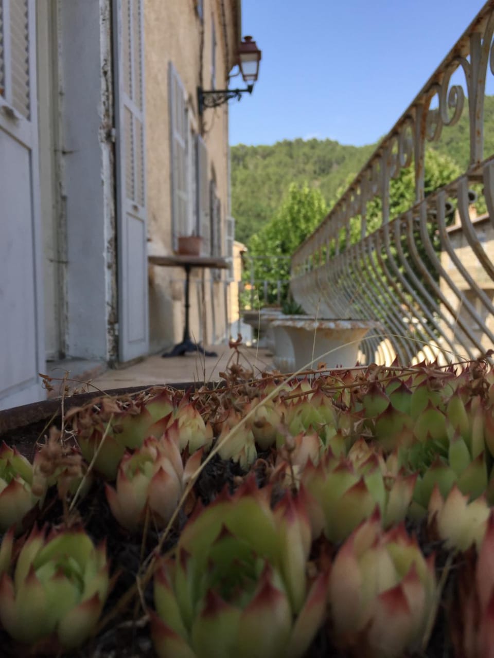 Balcony/Terrace