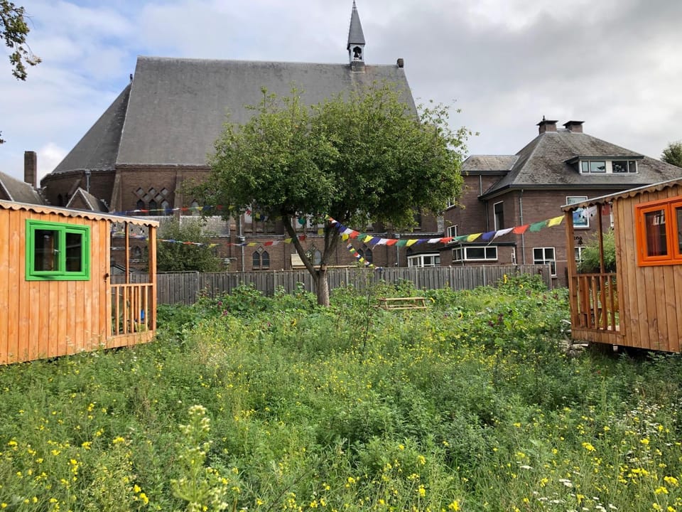 Bird's eye view, Garden, Garden view