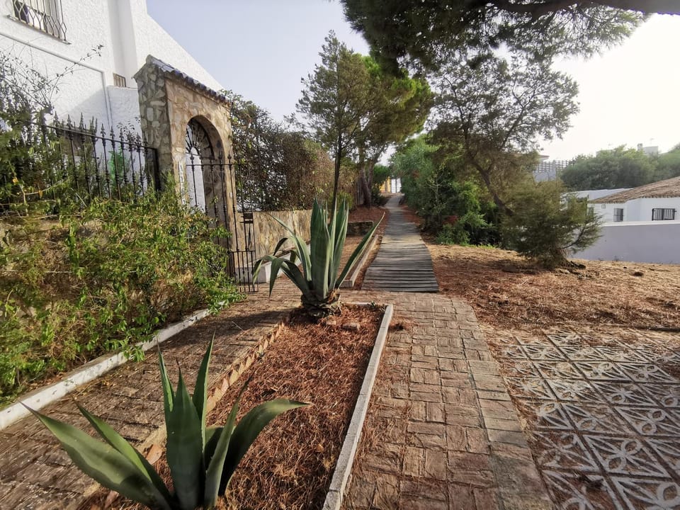 Day, Garden view, Street view