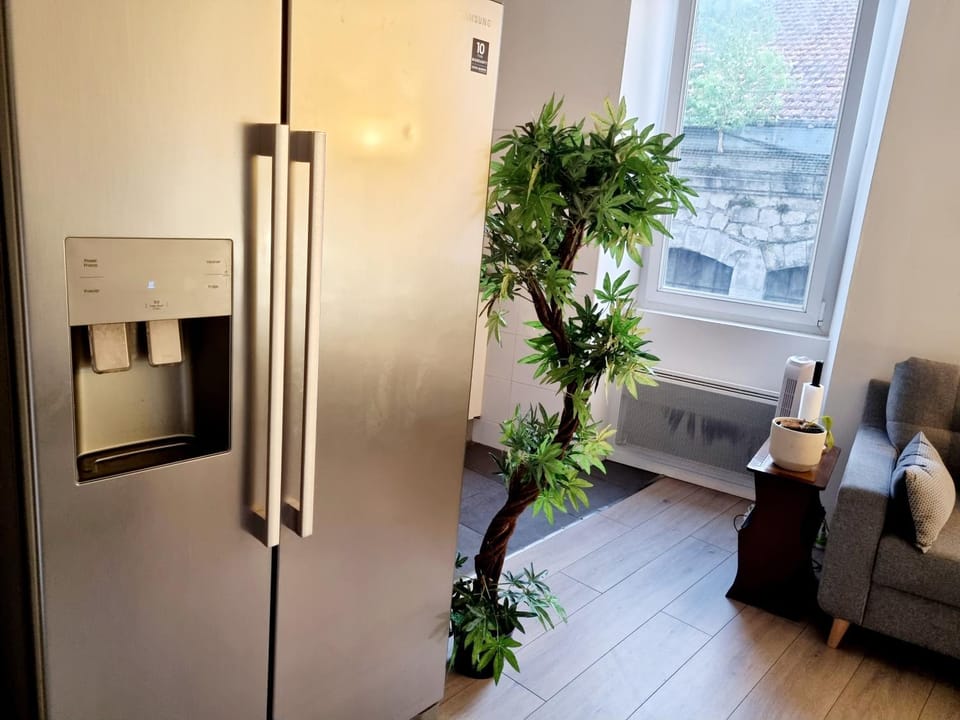 Luxueux appartement 2 chambres proche gare Apartment in Valence