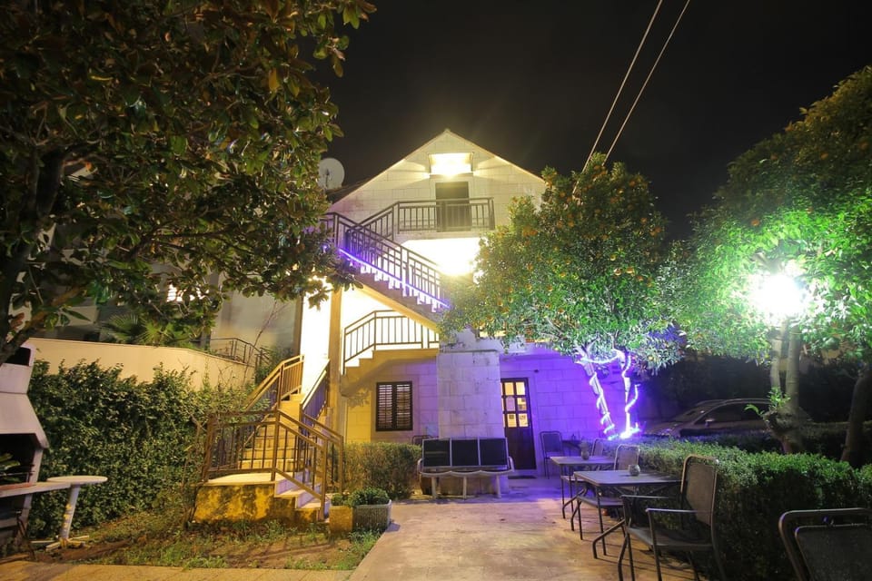 Night, Garden, Area and facilities