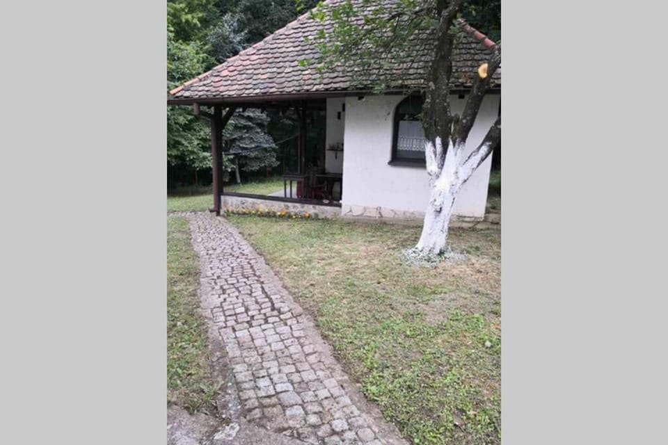 Cherry Tree Villa Villa in Serbia