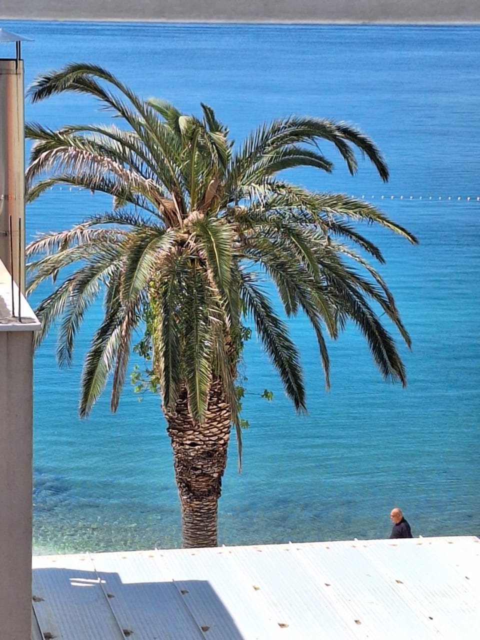 Apartman Graciela Perfect location Gradac Apartment in Dubrovnik-Neretva County