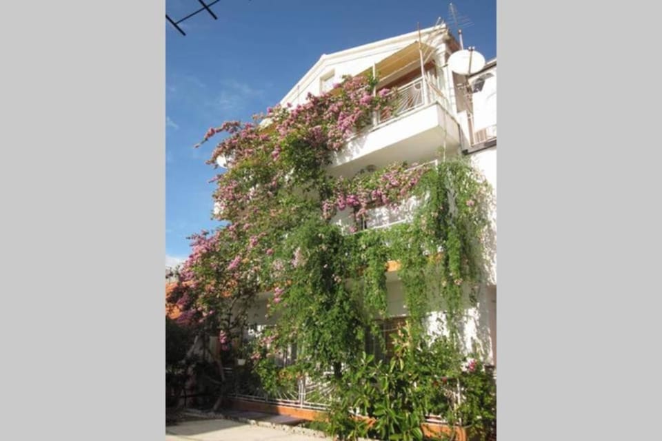 Apartman Graciela Perfect location Gradac Apartment in Dubrovnik-Neretva County