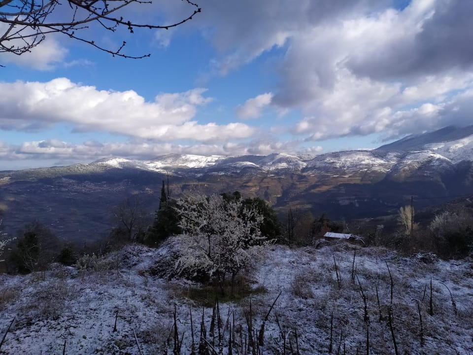 Winter, View (from property/room), View (from property/room)