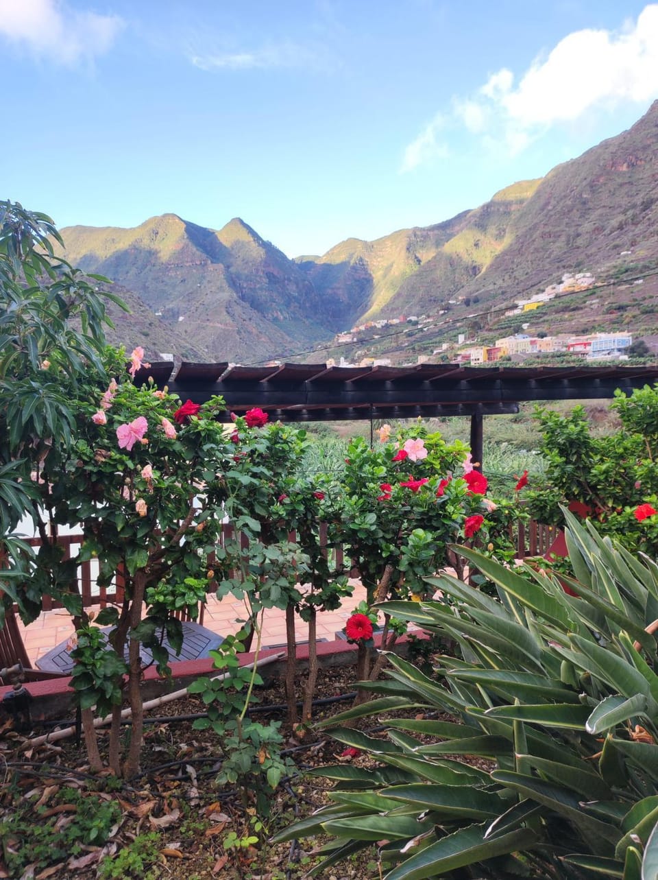 Casa Rural La Pitanga House in La Gomera
