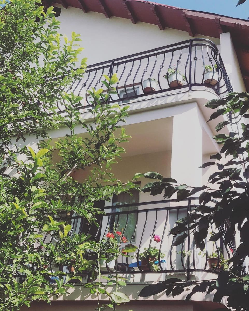 Vila A&S Bed and Breakfast in Constanța County
