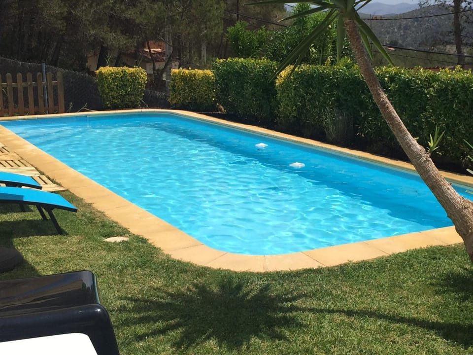 Garden, Garden view, Pool view, Swimming pool, Swimming pool, sunbed