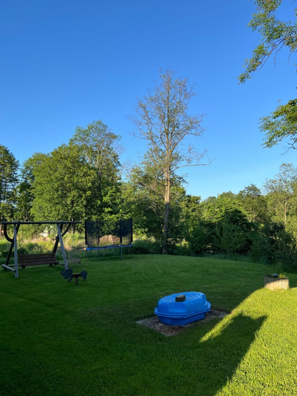 Garden, Garden, Garden view