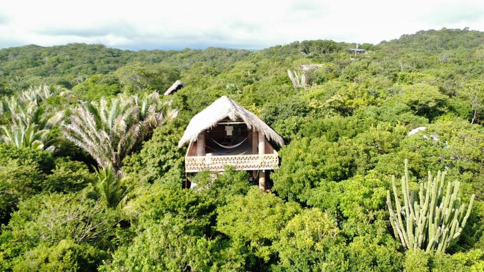 New Ruins Off-The-Grid SuperAdobe Domes with Pool Nature lodge in State of Oaxaca